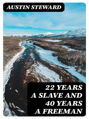 cover image of 22 Years a Slave and 40 Years a Freeman